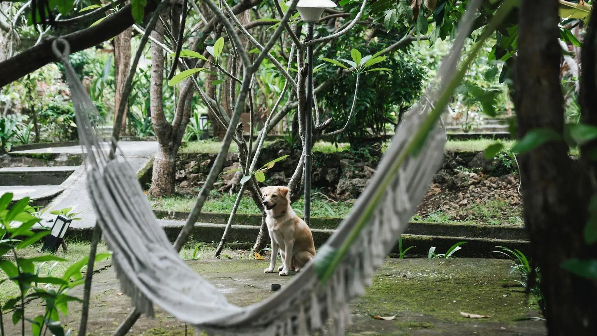 Olo Surf Nature Uluwatu Hotell
